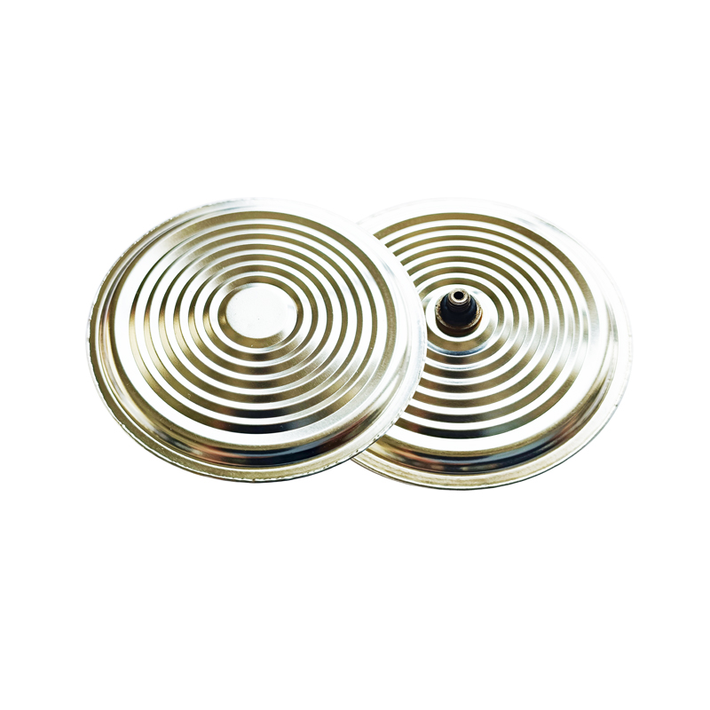 Stainless Diaphragm